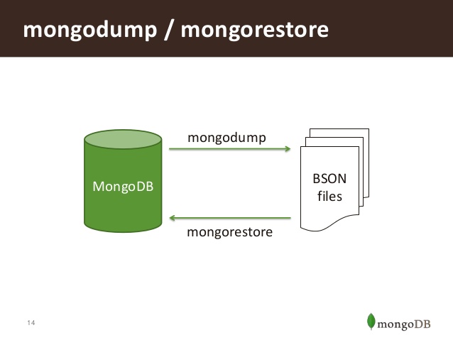 How to restore the dump into your running mongodb